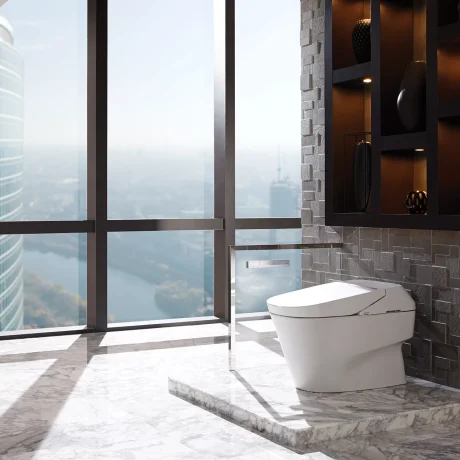 NEOREST® 700H DUAL FLUSH TOILET, 1.0 & 0.8 GPF